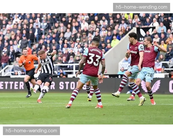 埃兰加27场英超零进球 纽卡5500万边锋终结能力遭严重质疑